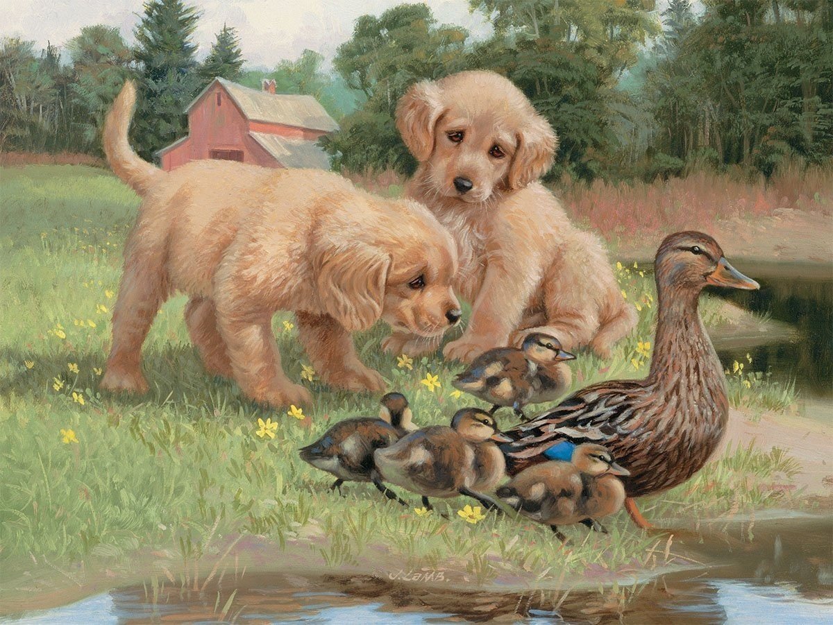 Играющие собаки иллюстрация