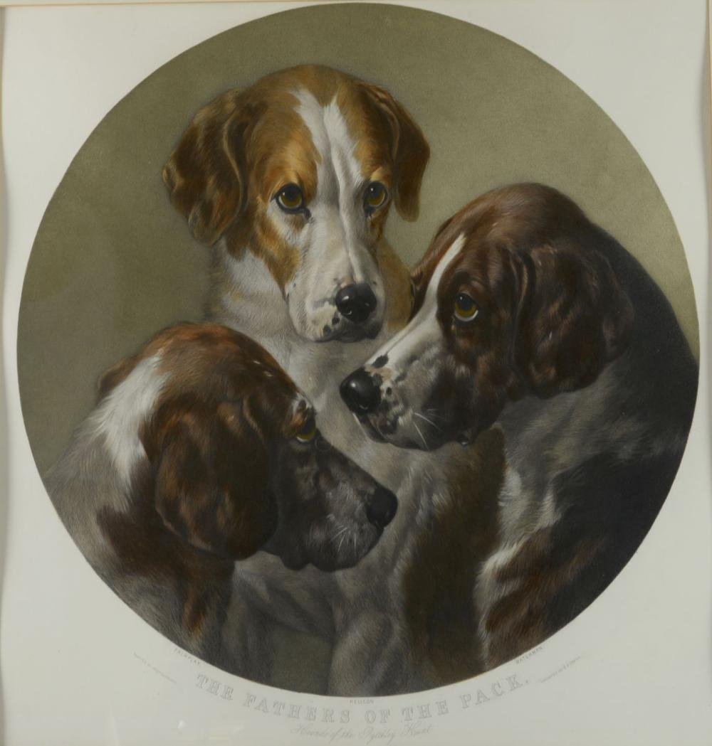 Открытка "собаки"