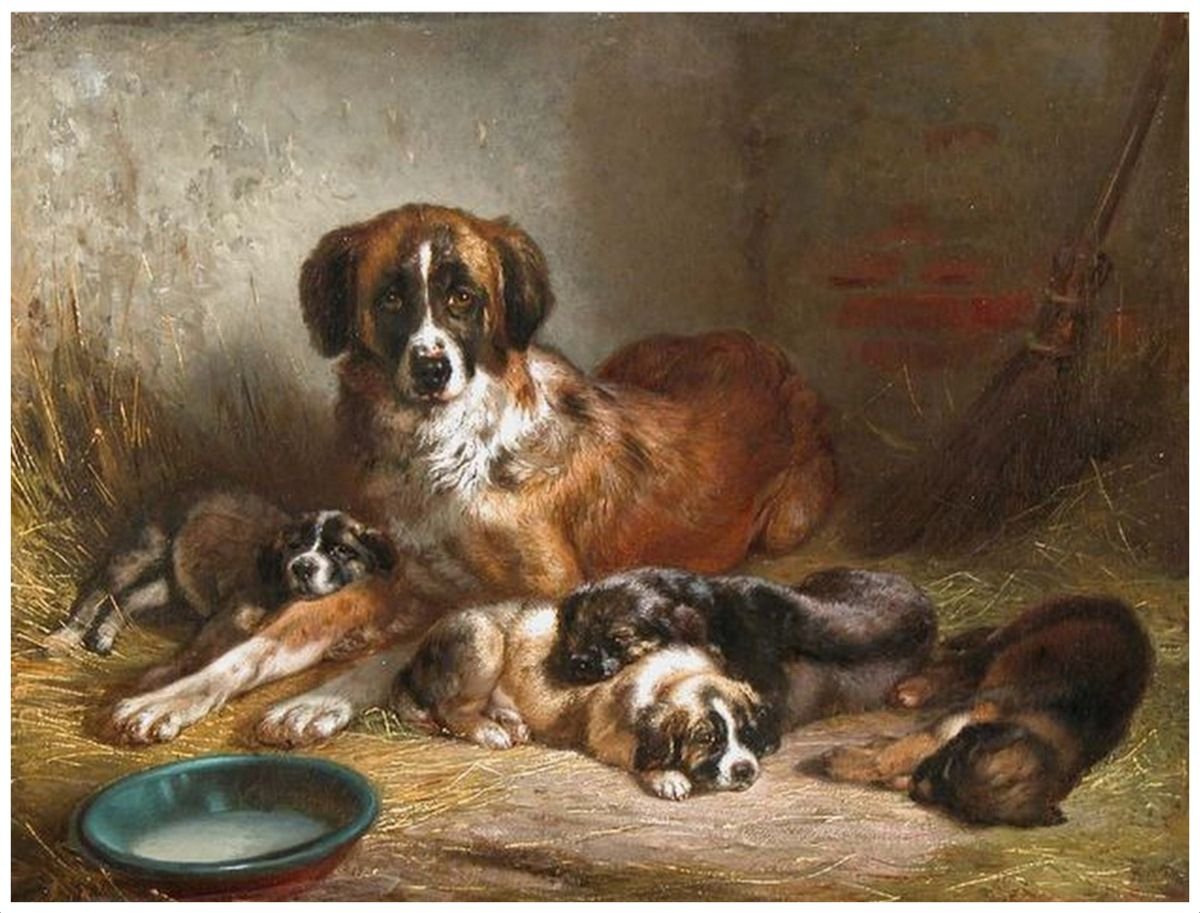 Домашние любимцы