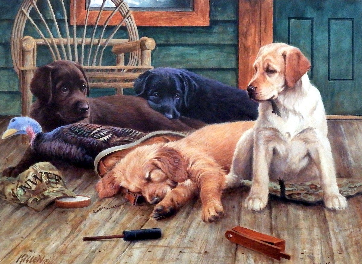 Собака с щенятами картинки для детского сада