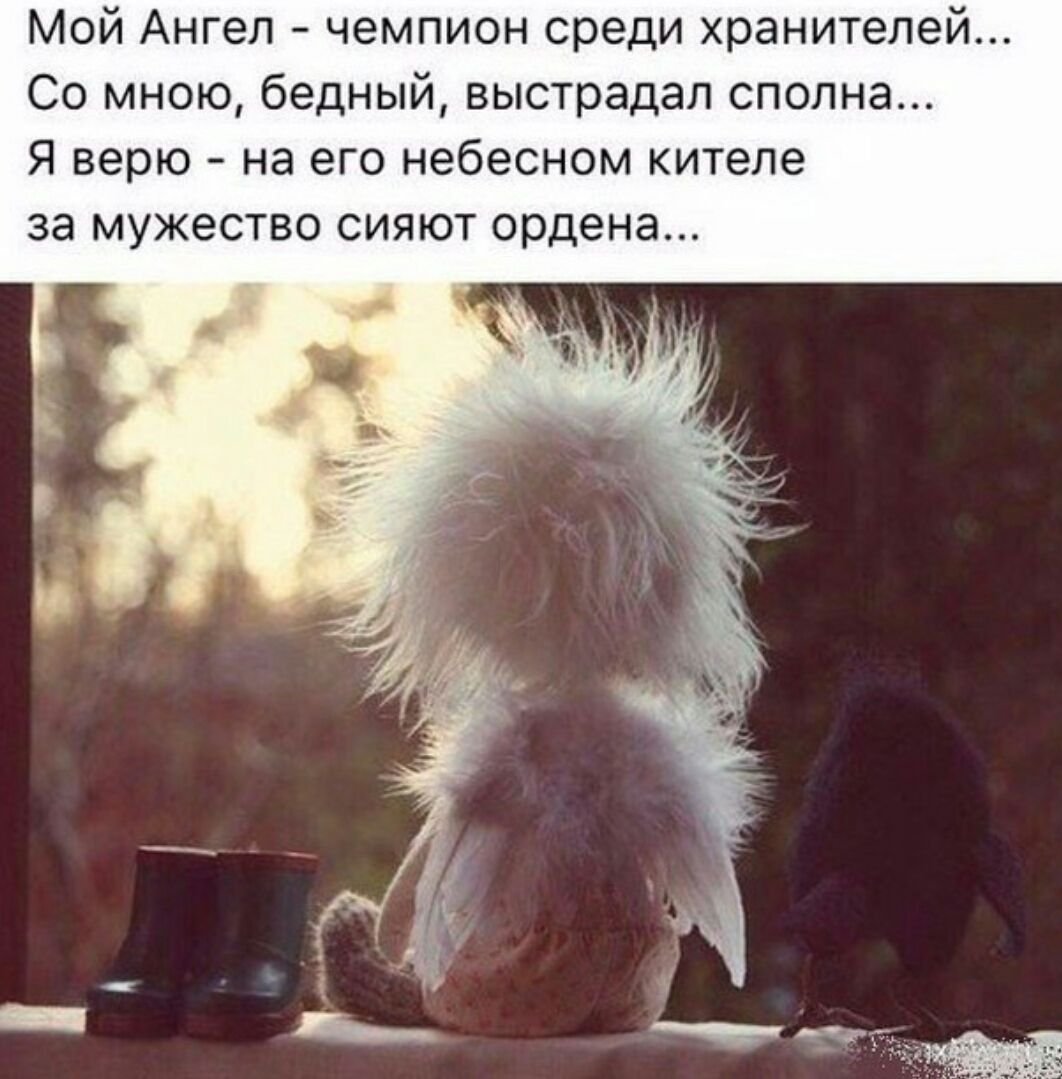 Доброе утро гламурные