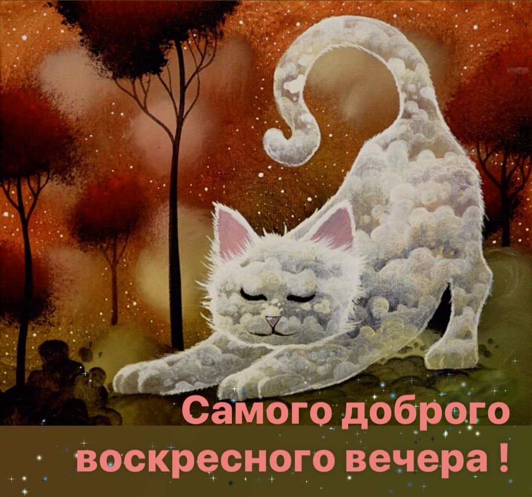 Рафаэль Вавассер Звездные коты