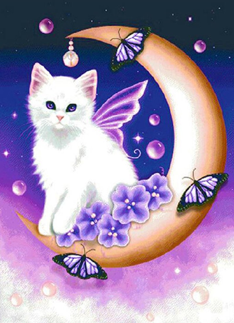 Волшебные котики