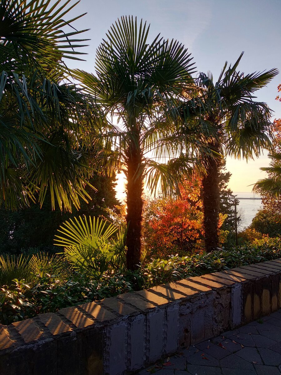 Набережная Сочи вечером