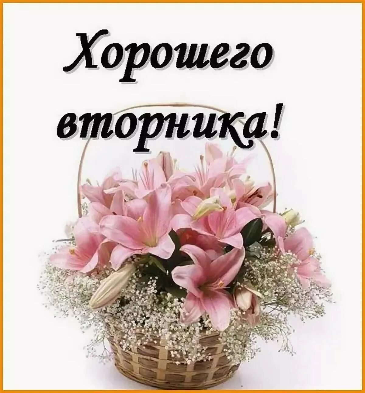 С добрым утром вторника