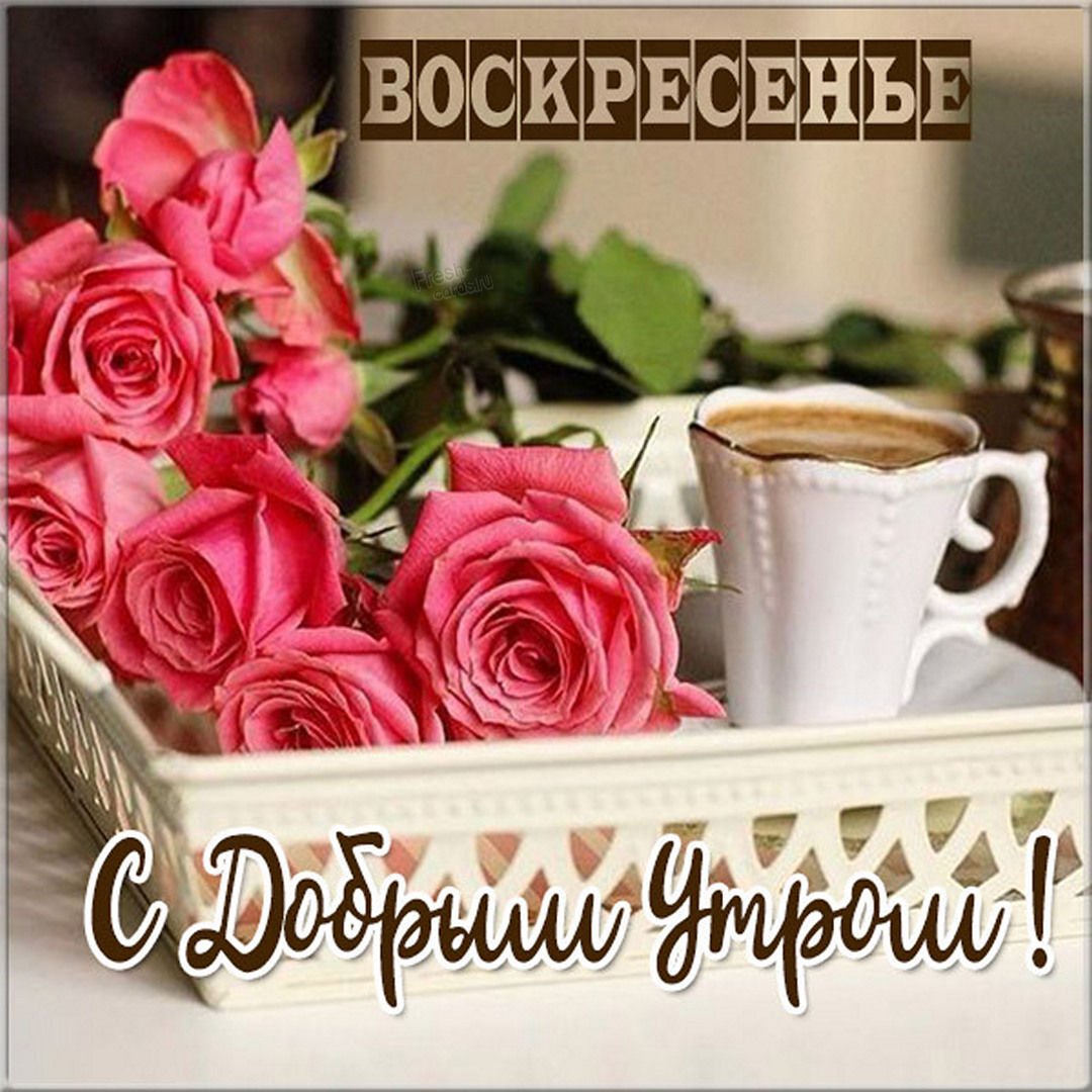 Удачного вторника доброе утро картинки