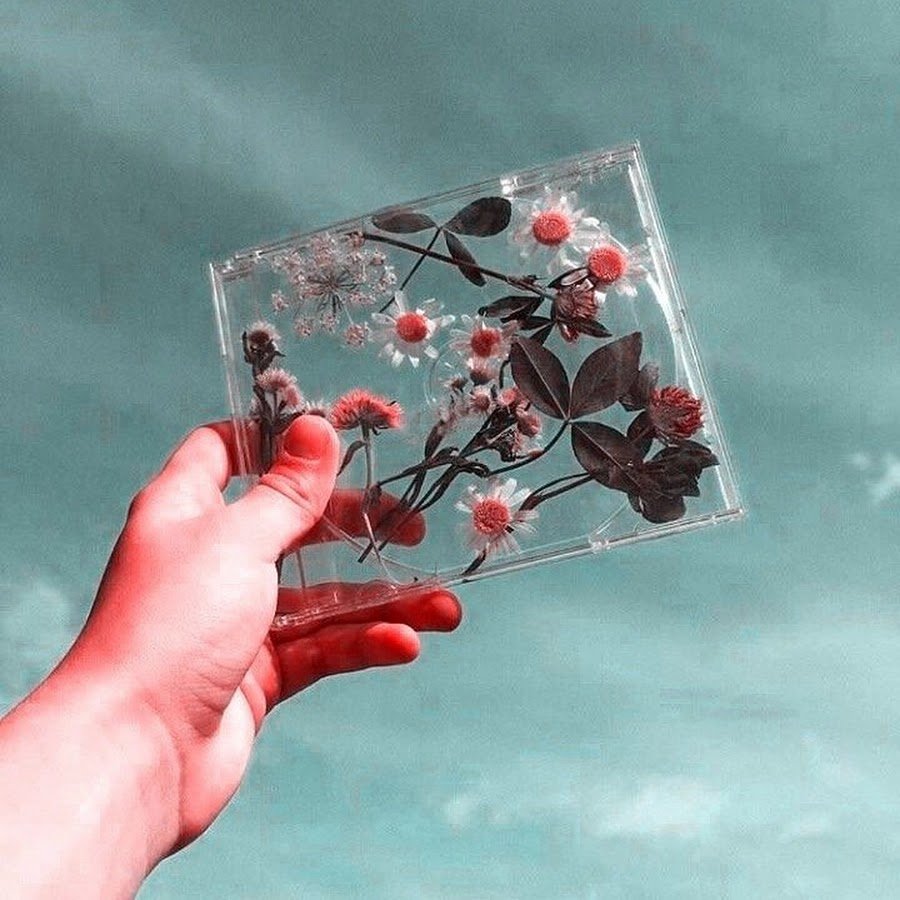 Пины Эстетика