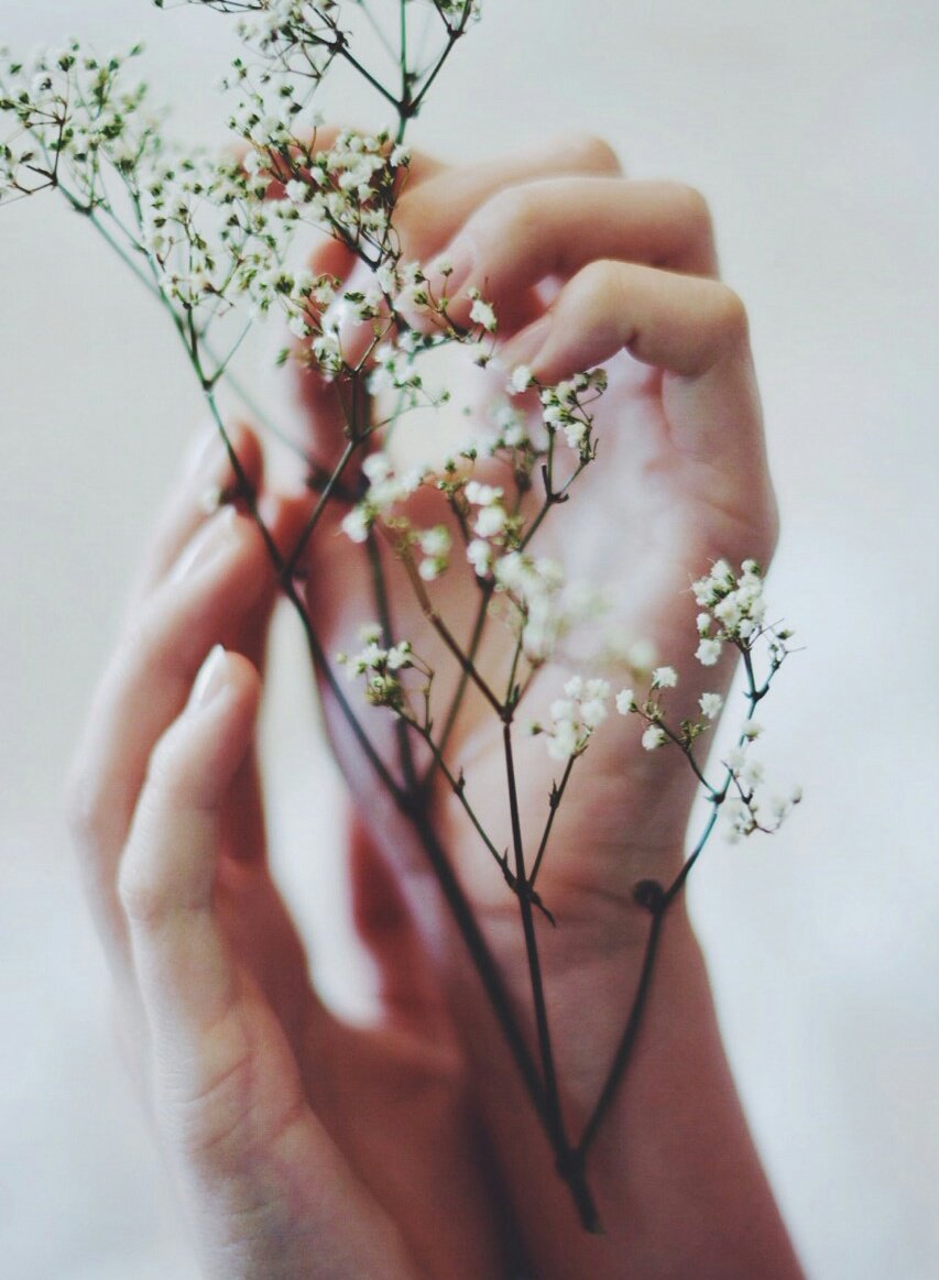 Нежность Эстетика цветы