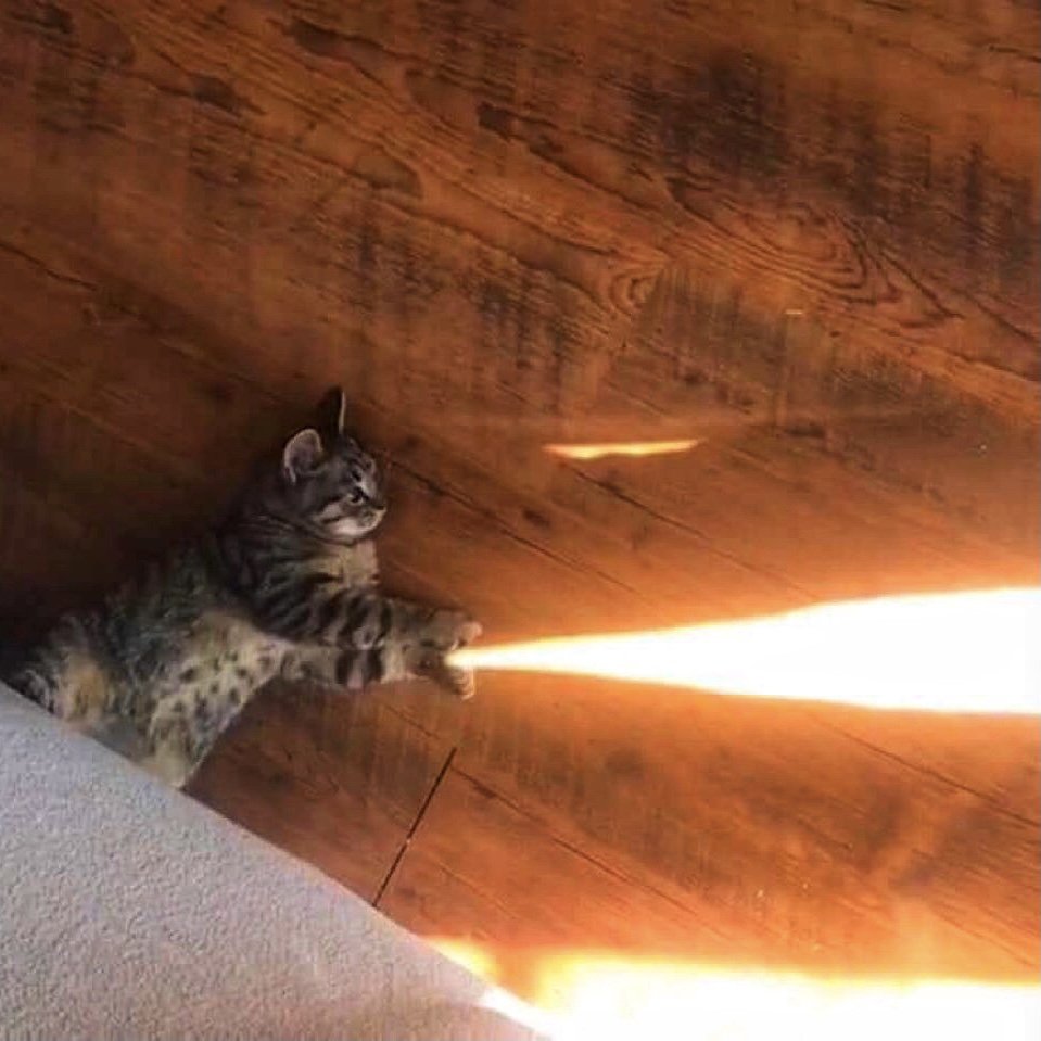 Человек улыбается солнцу