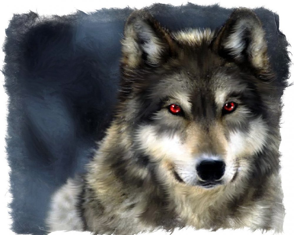 Волк слабее тигра