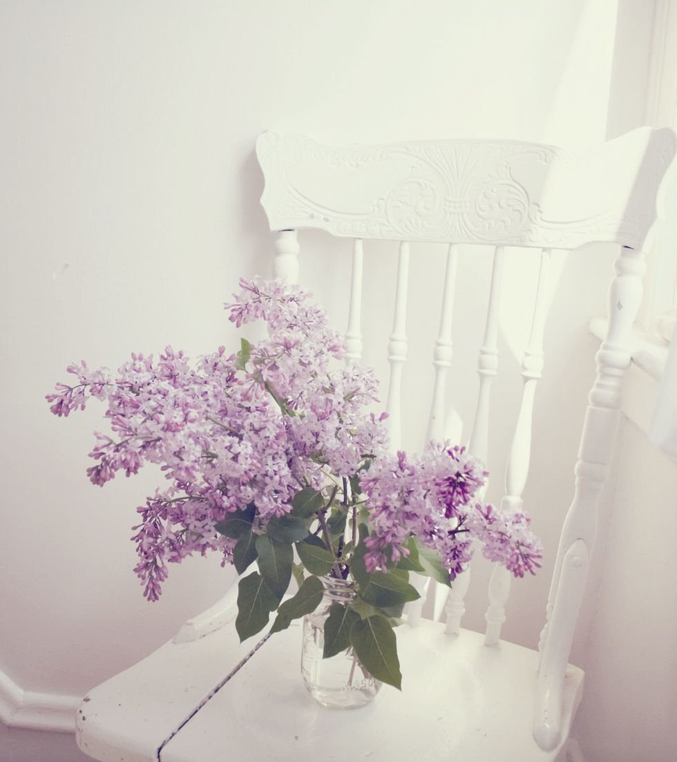 Сирень Эстетика