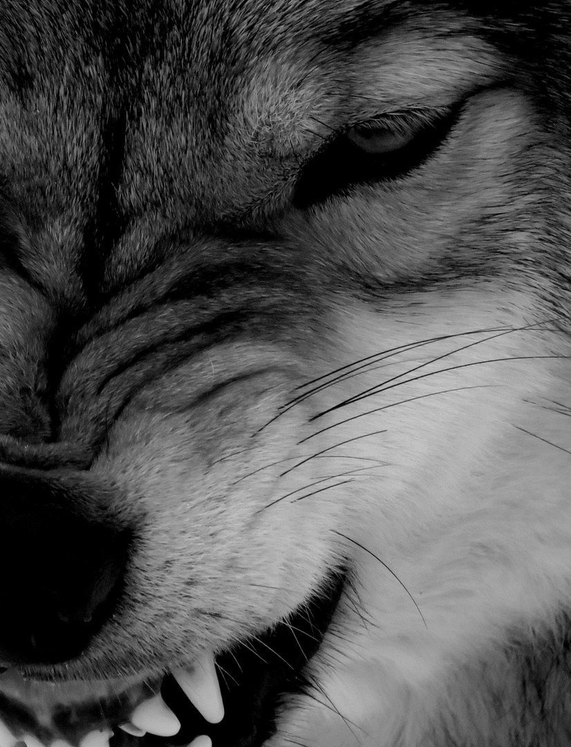 Грустные картинки на аватарку