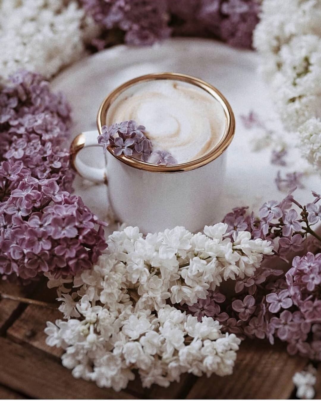 Сиреневое чаепитие