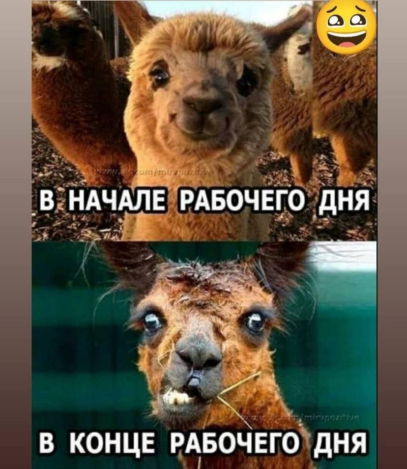 Доброе утро отличной недели