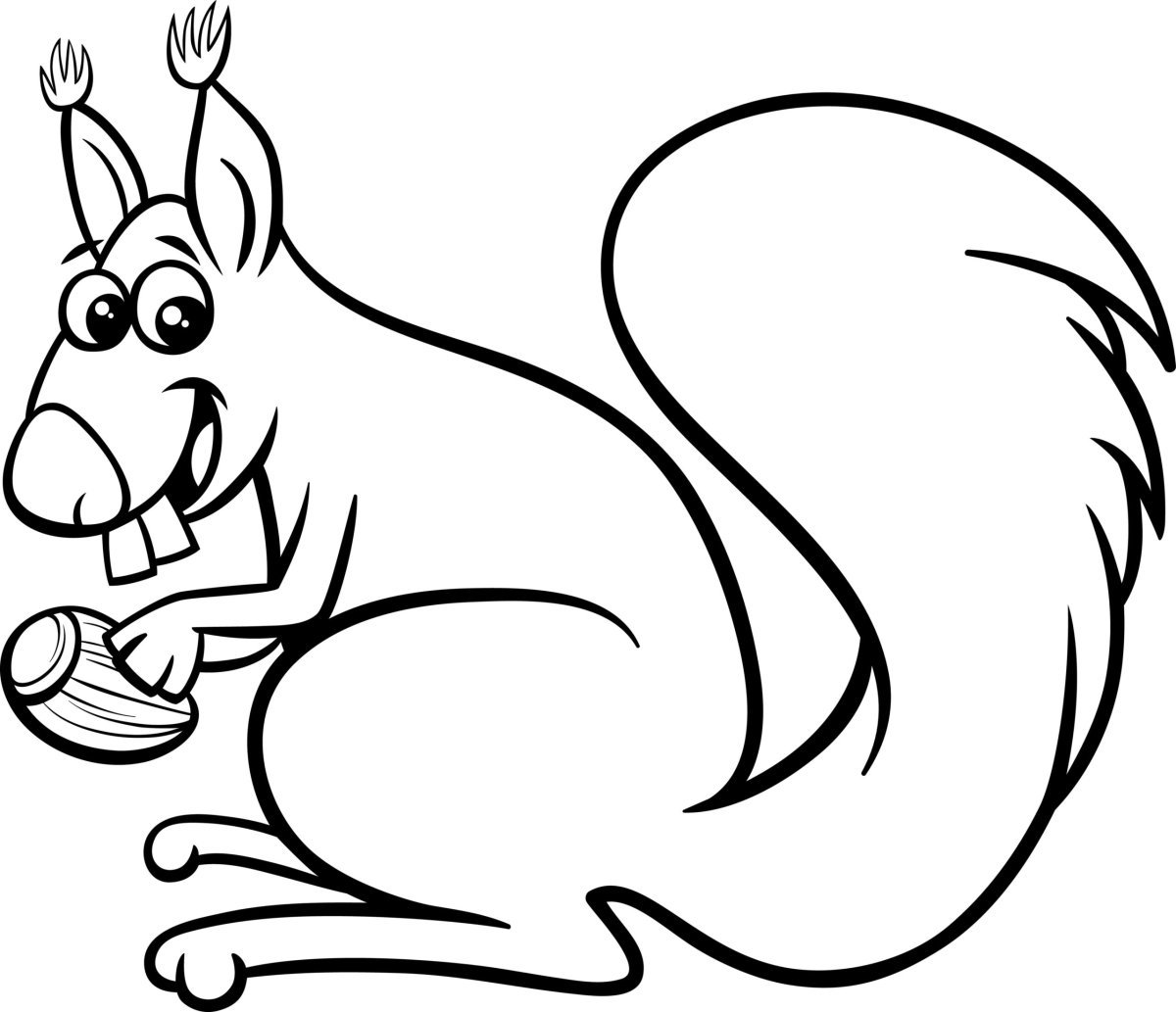 Белочка раскраска для детей