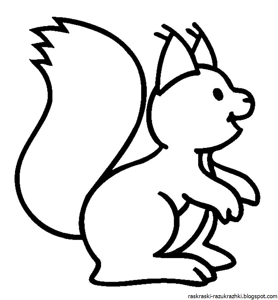 Белка задания для детей