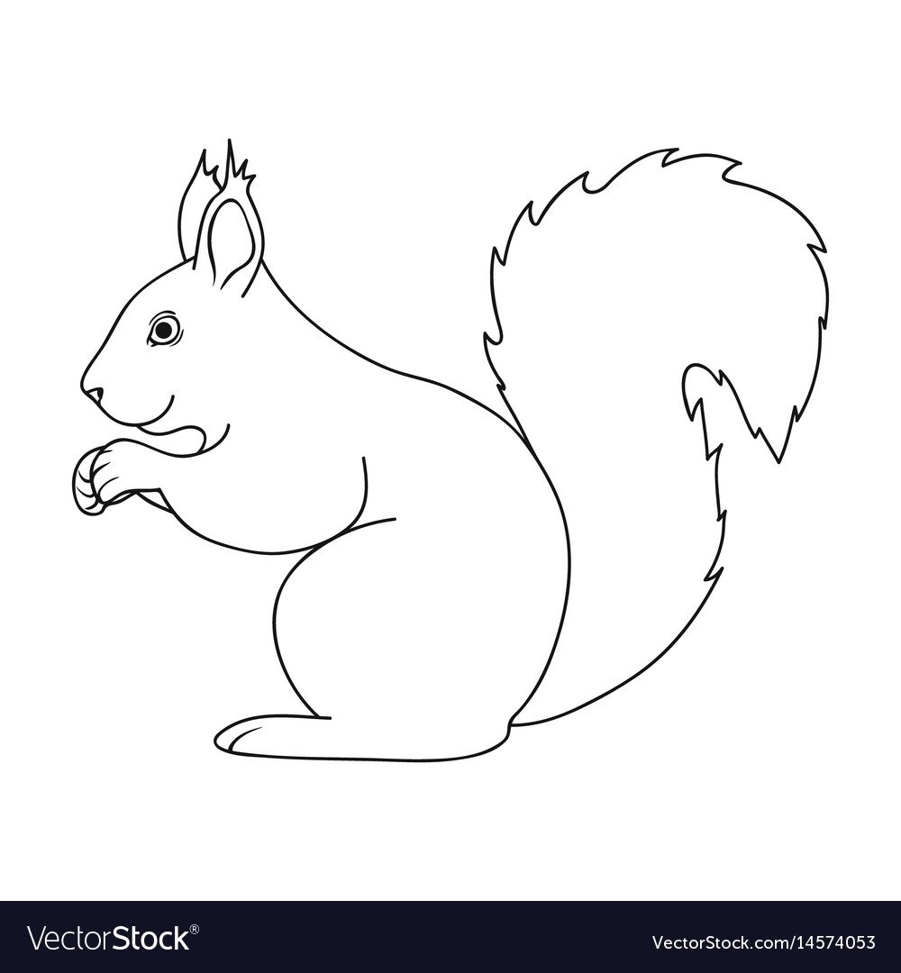 Белочка рисунок для детей раскраска