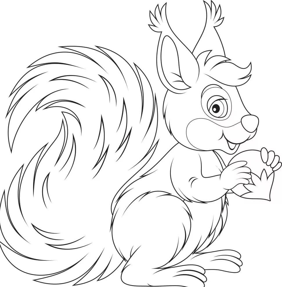 Белочка раскраска для детей