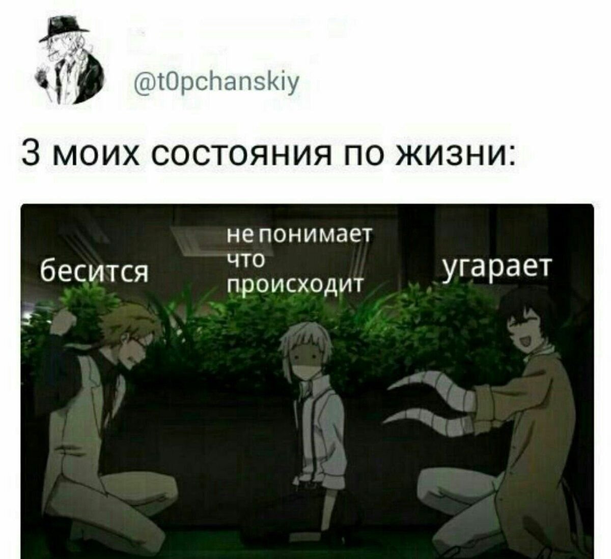 Великий из бродячих псов мемы
