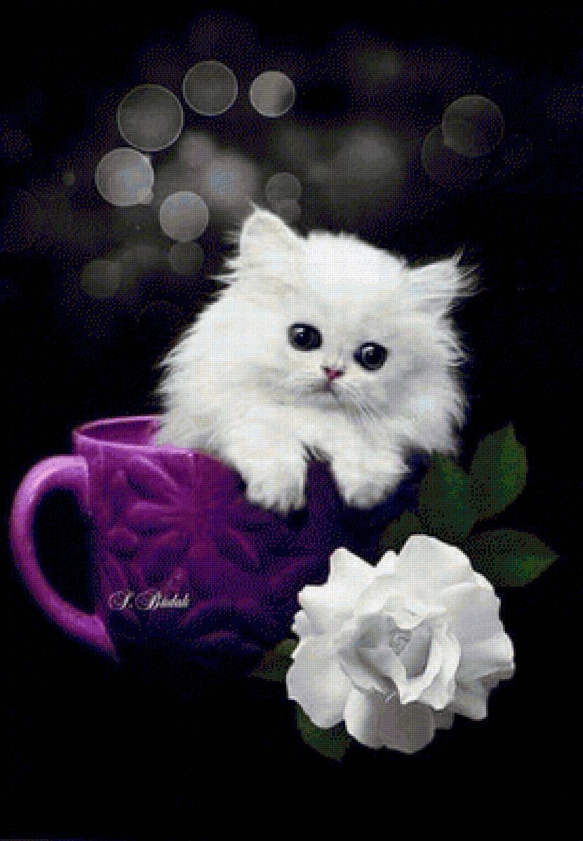 Красивые котята с добрым утром