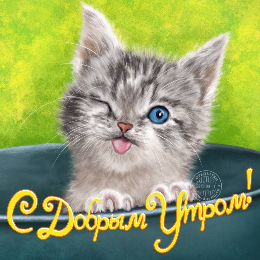 Открытки с добрым утром прикольные