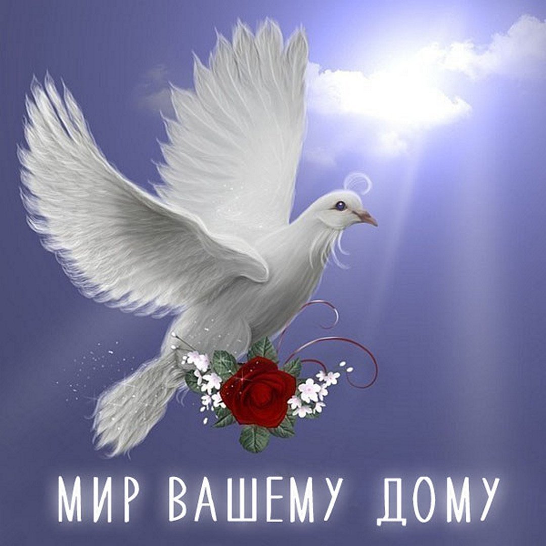 Мир вашему дому