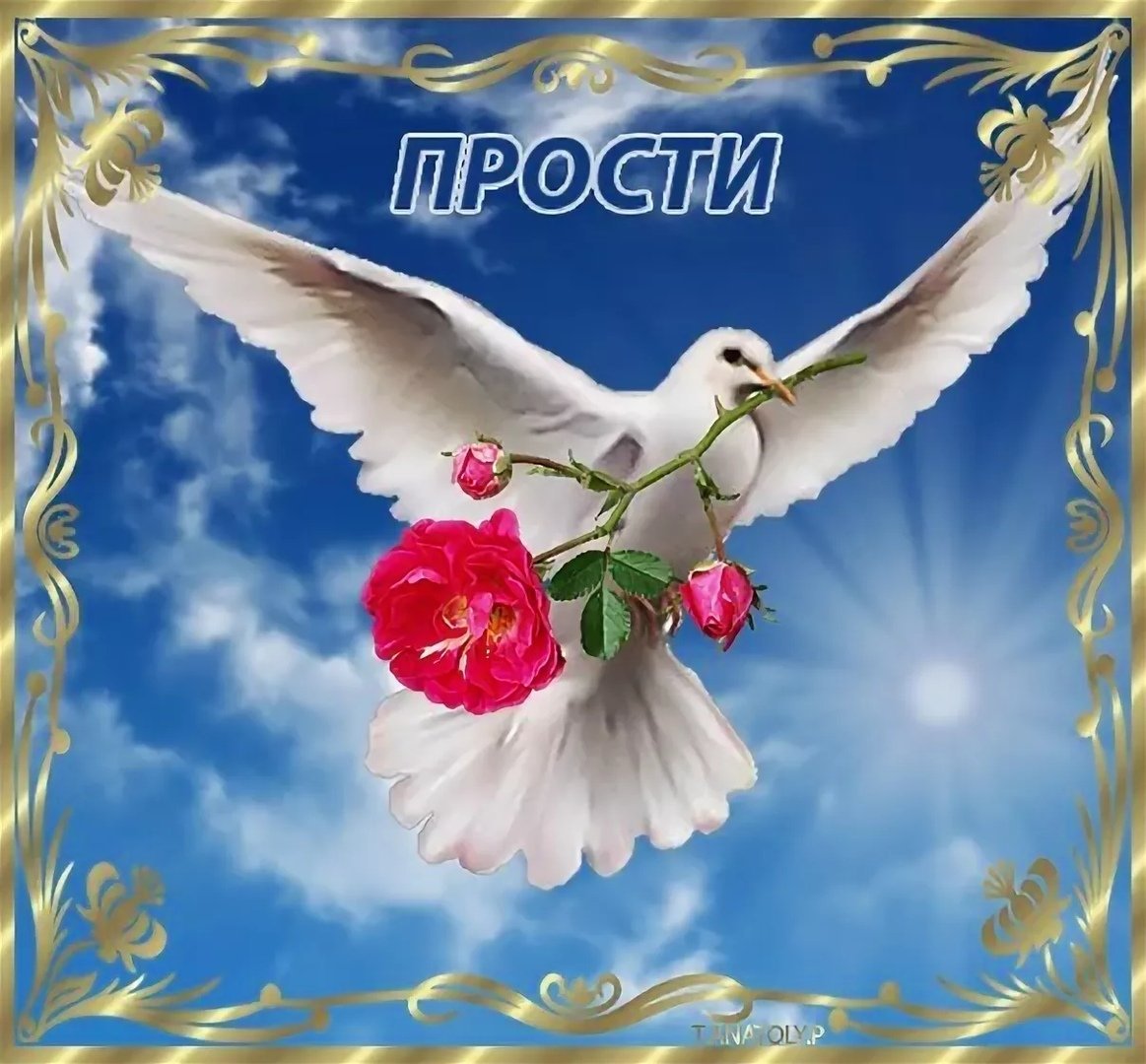 Красивые открытки мир вашему дому