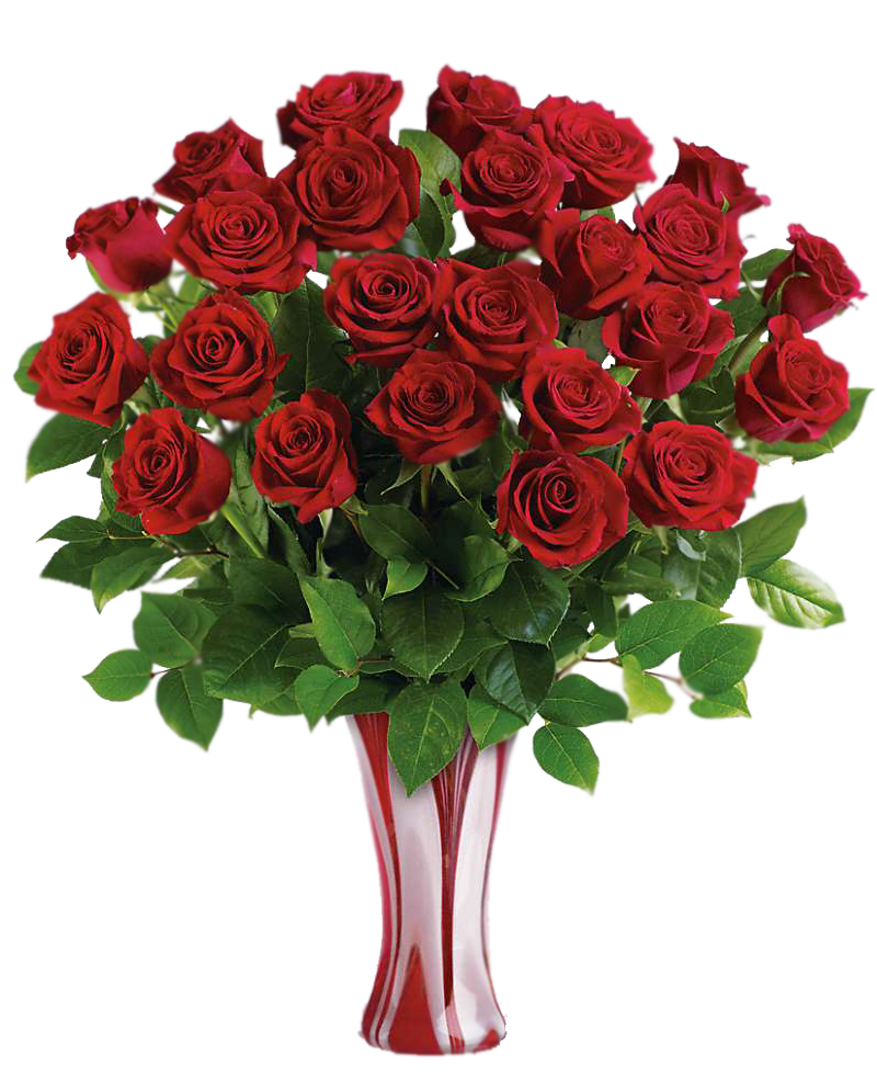 Букет красных роз на прозрачном фоне