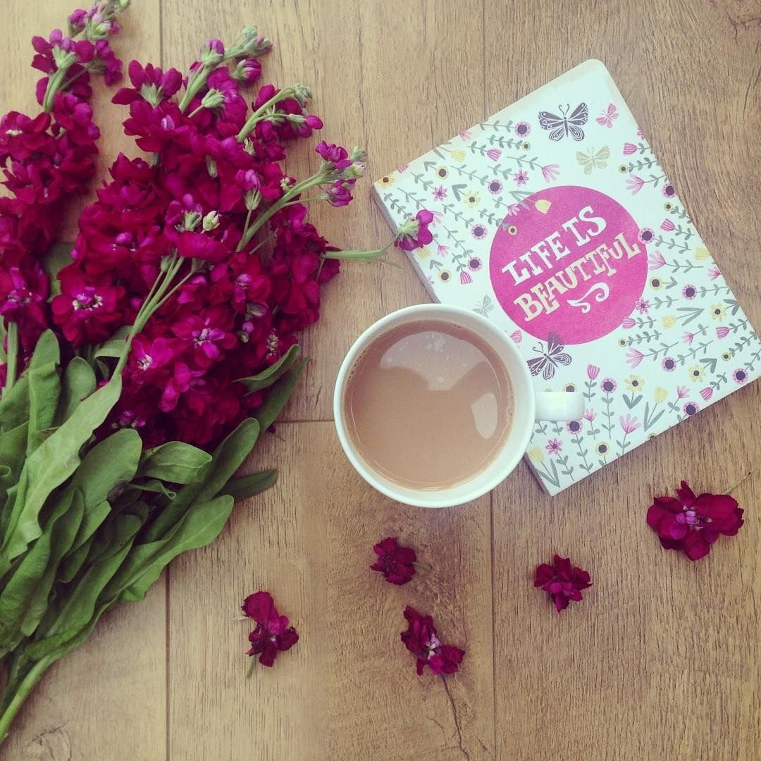 Добрые пожелания