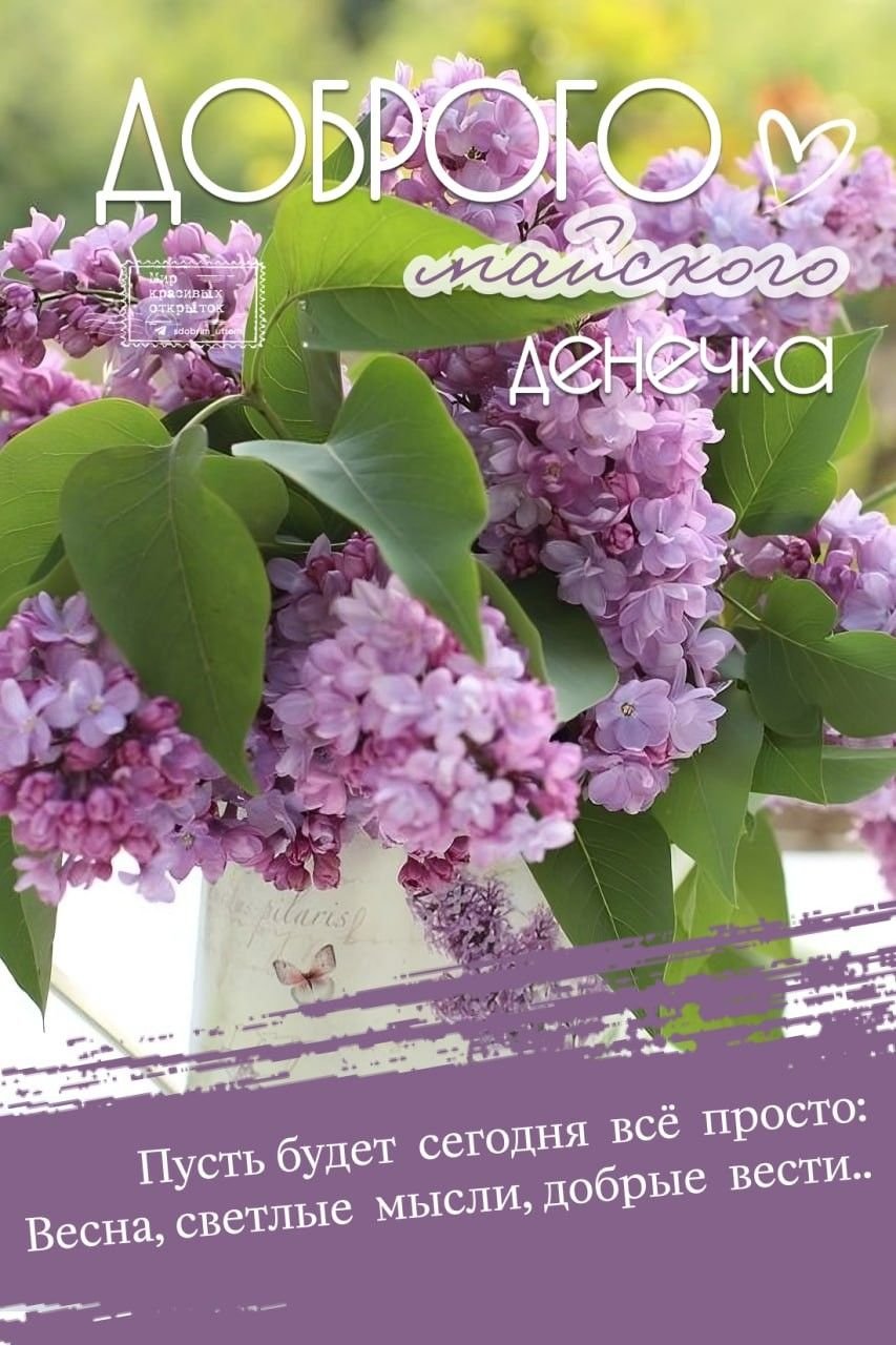 Доброе утро жизнь