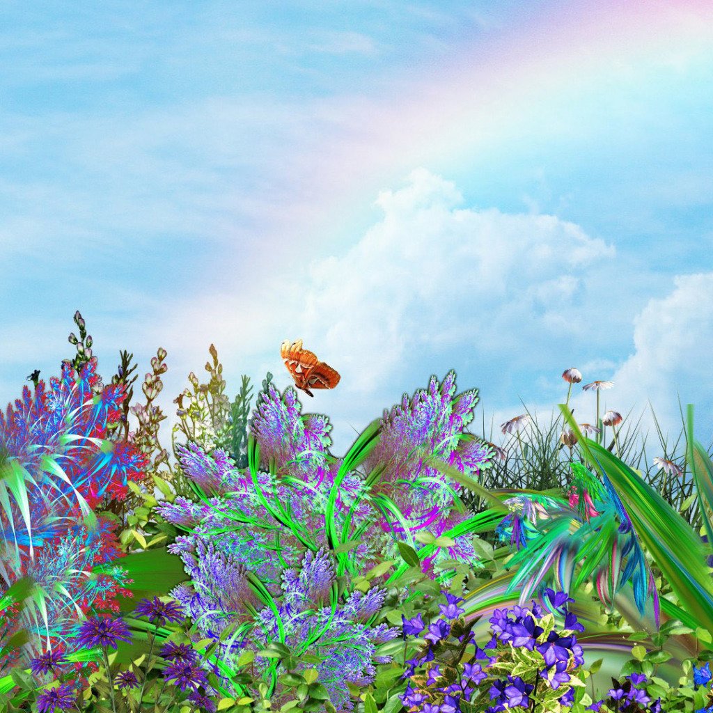 Поляна с цветами и бабочками