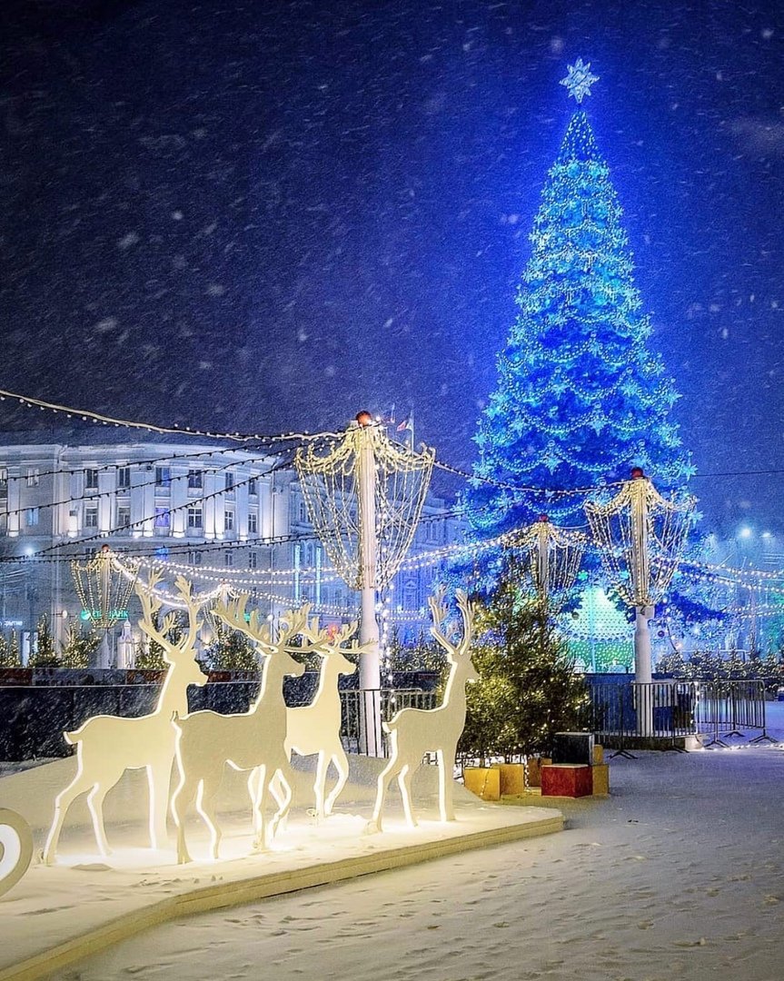 Елка на площади Ленина Воронеж 2022