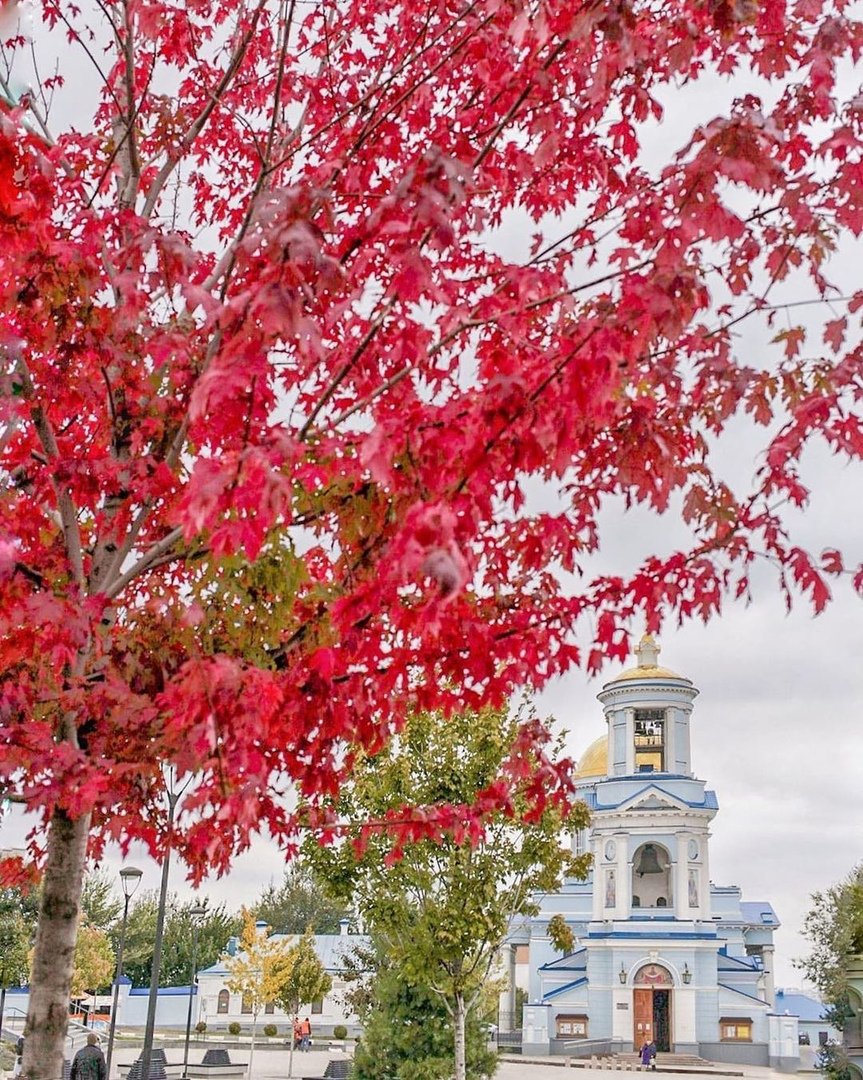 Осень в Воронеже