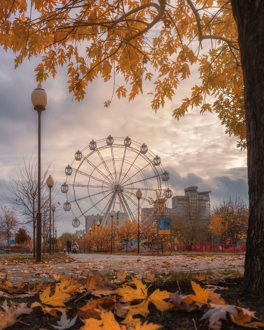Парк Арена Воронеж