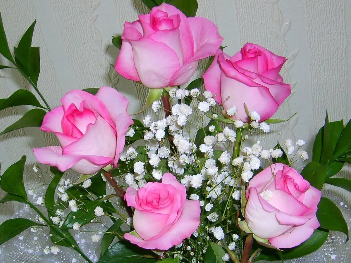 С днём рождения Олечка