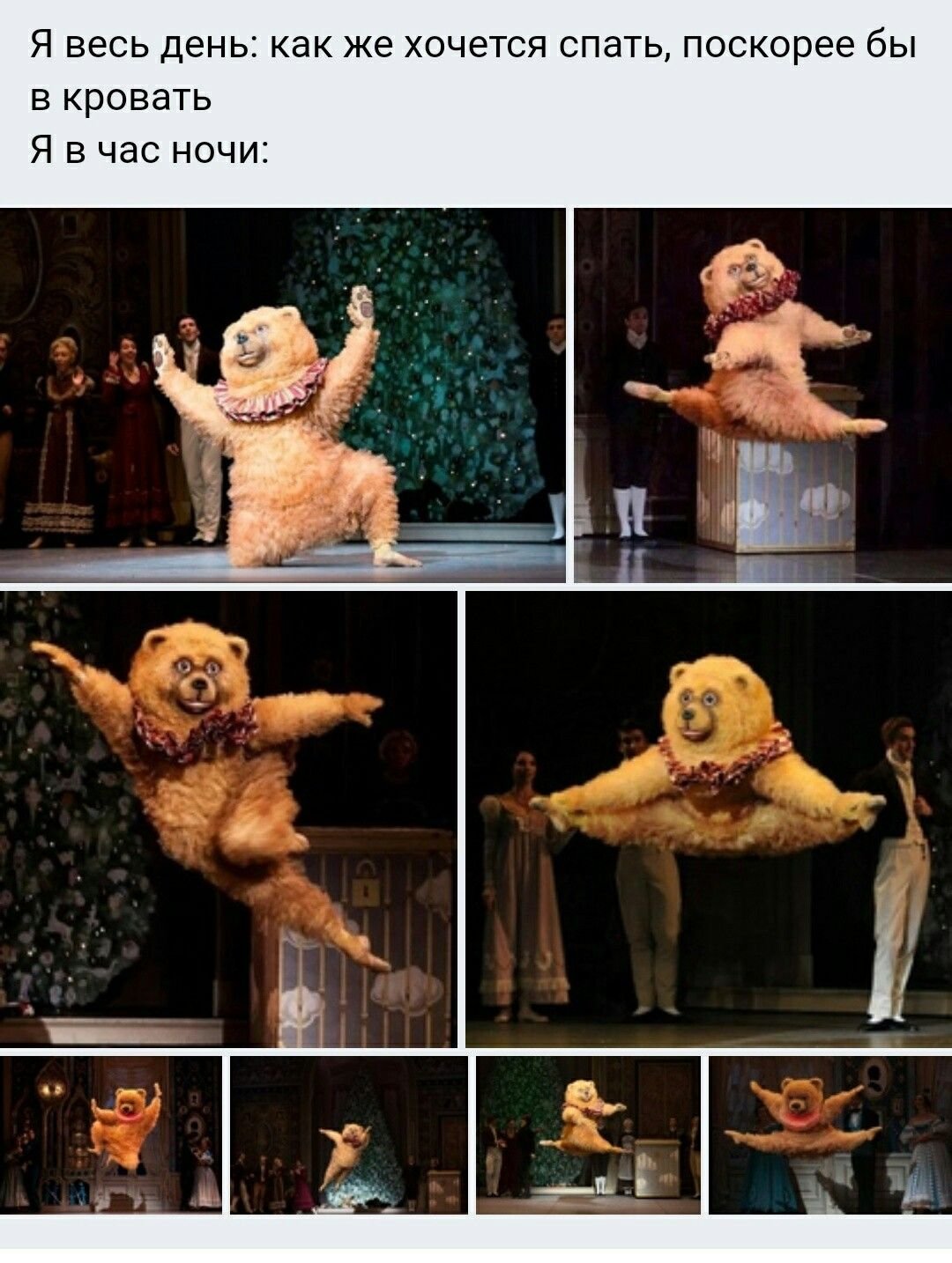 Медведь в балетной пачке