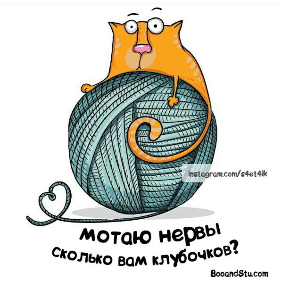 День сворачивания в клубочек