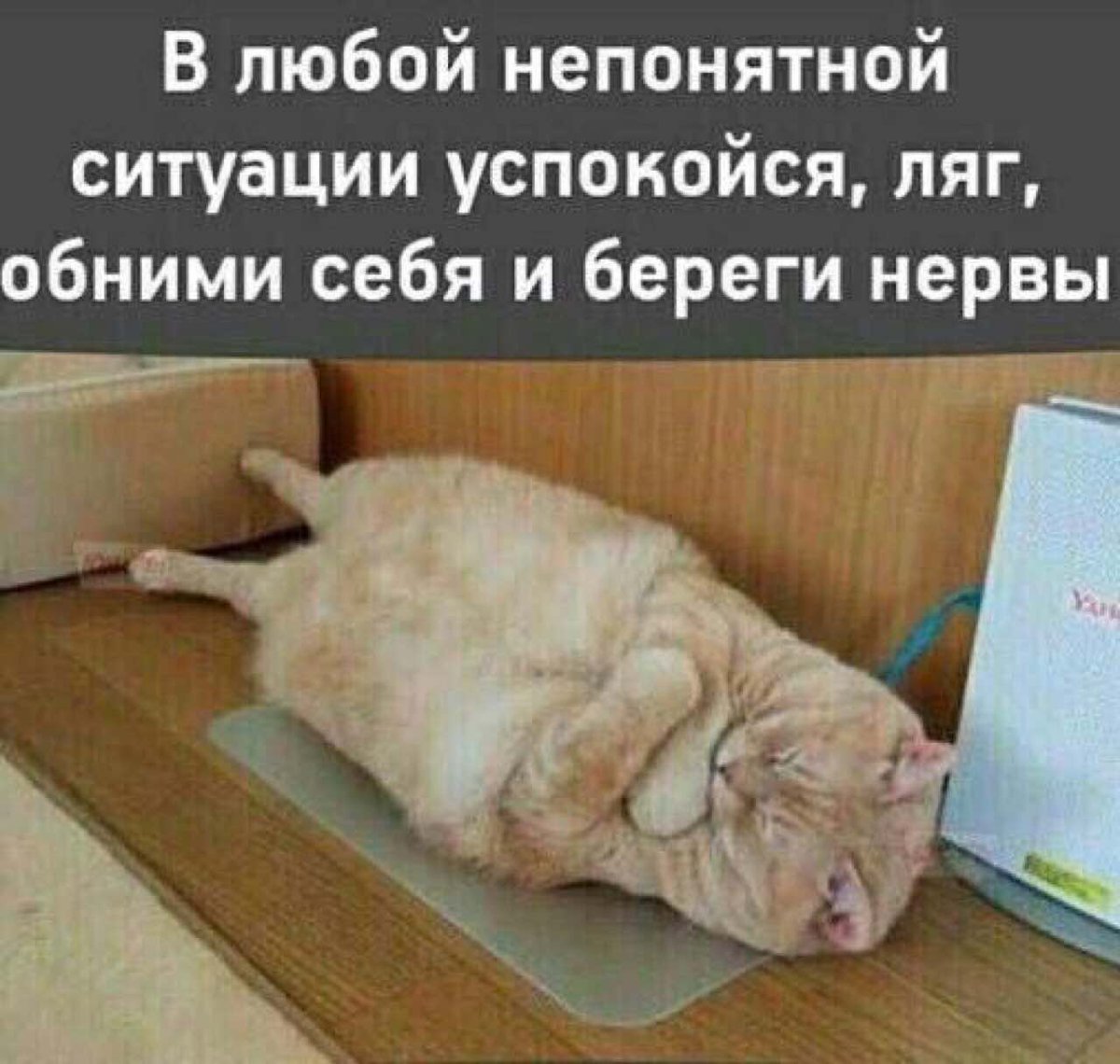 В любой непонятной ситуации ложись спать