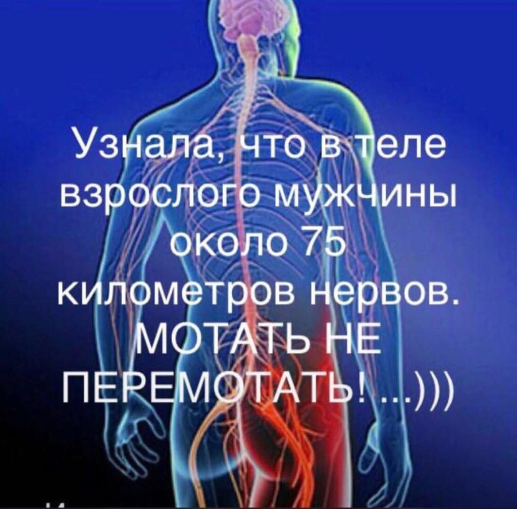 В теле взрослого мужчины нервов