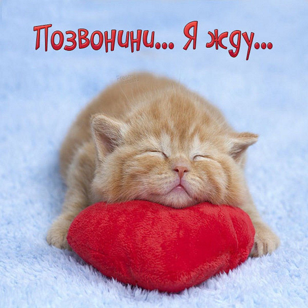 Я скучаю по тебе стихи