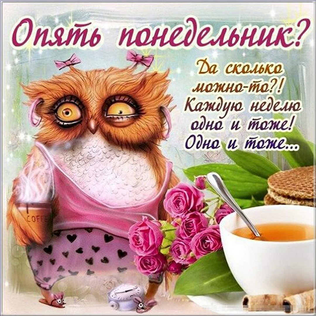 Хорошего вечера понедельника картинки прикольные