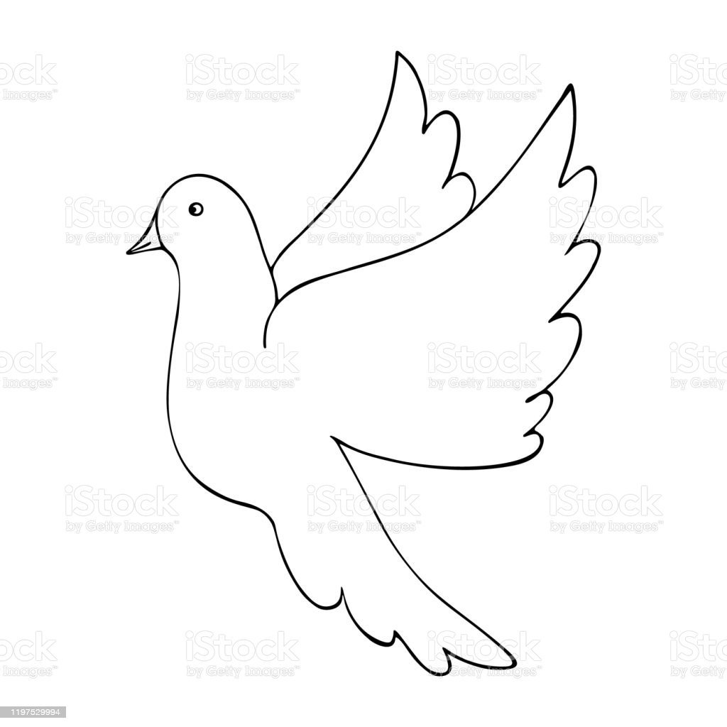 Голубь контур на прозрачном фоне