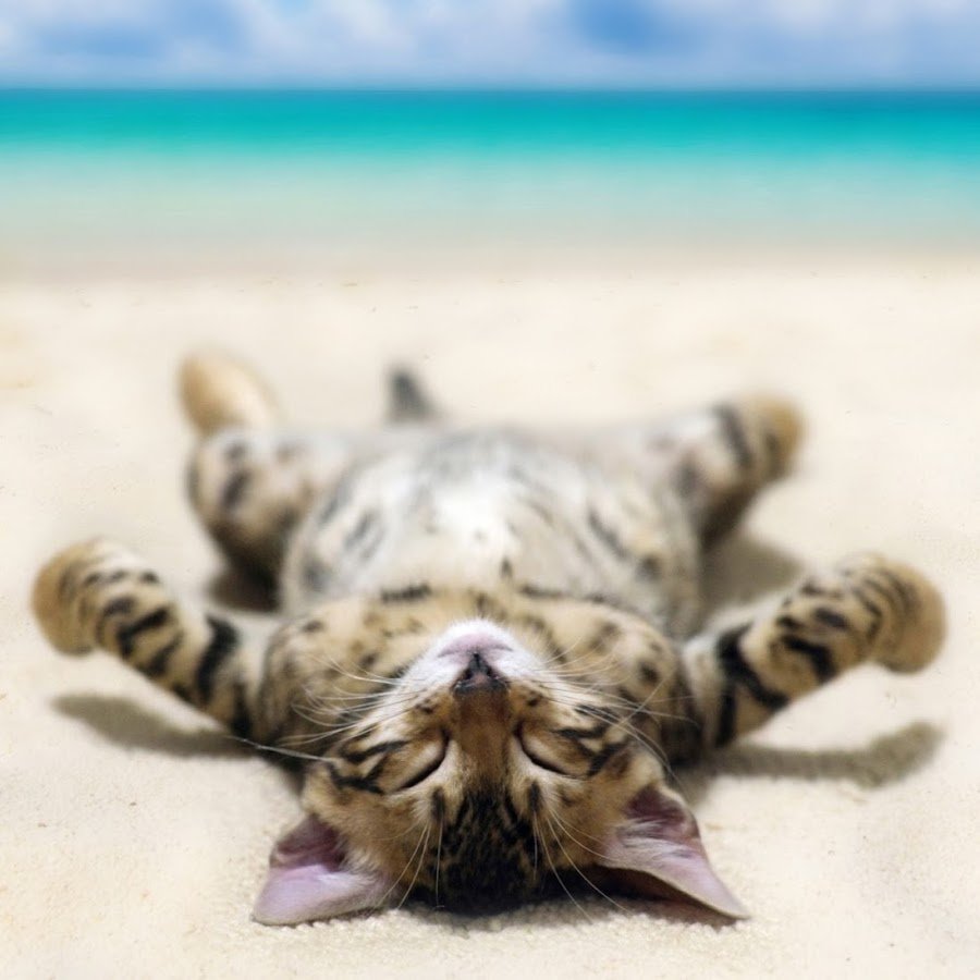 С днем бухгалтера