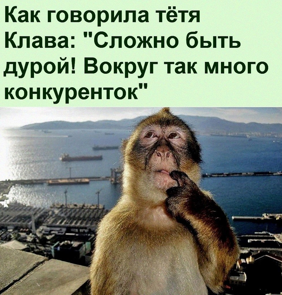 Любимый я на работе