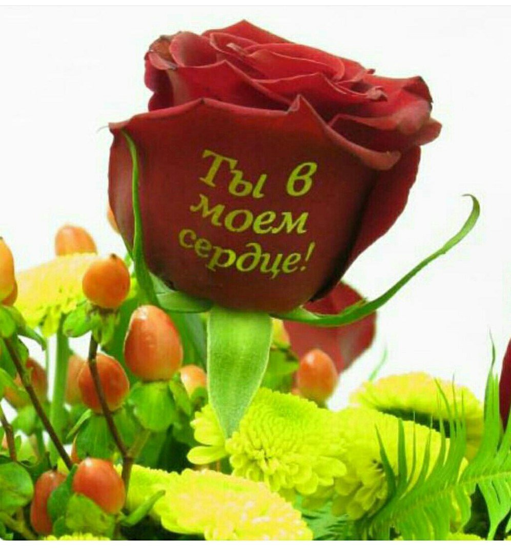 Цветы для любимой девушки