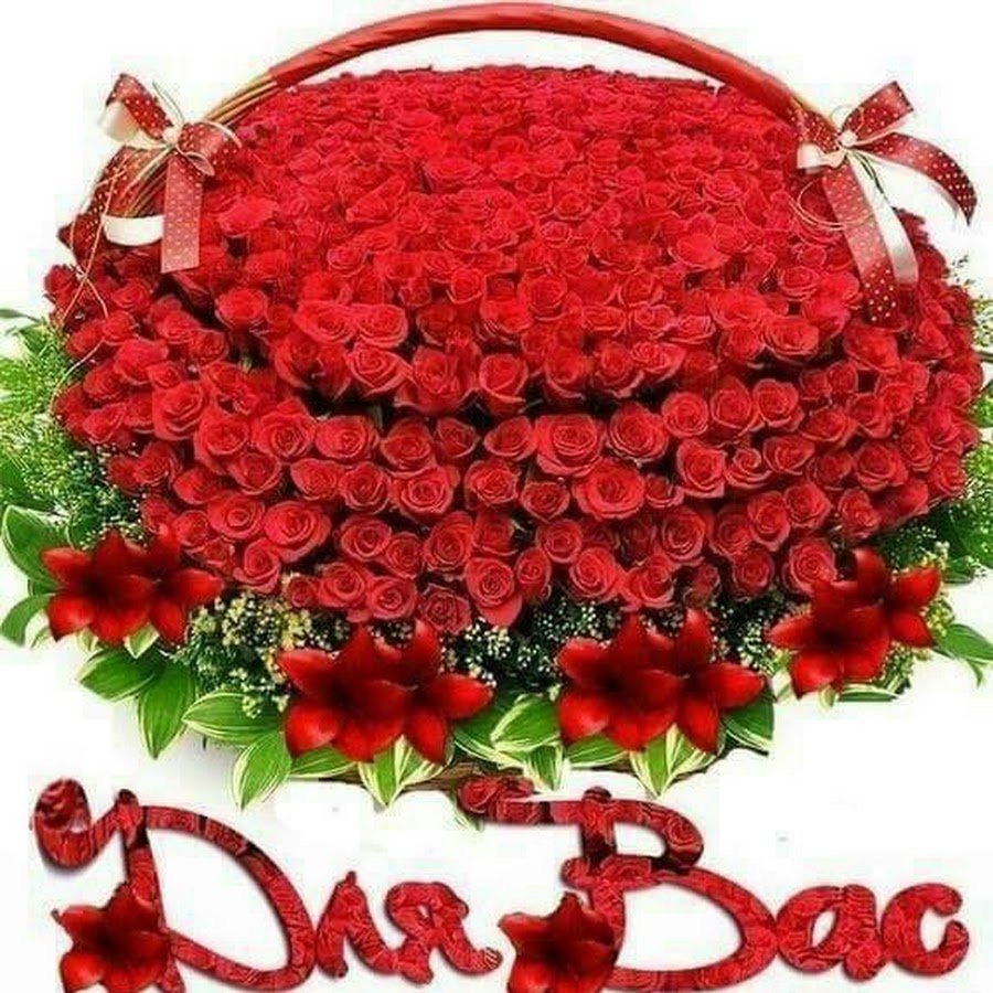 Шикарные розы для тебя