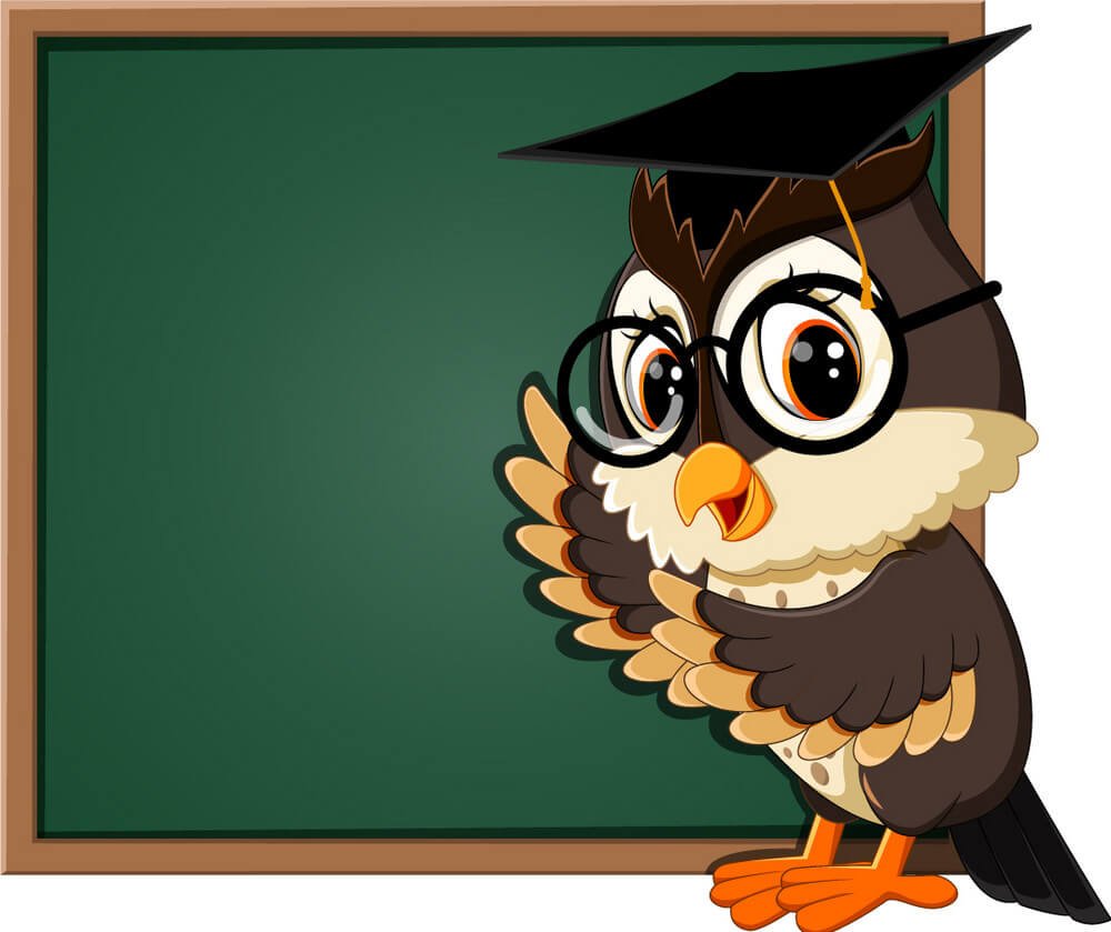 Сова с доской