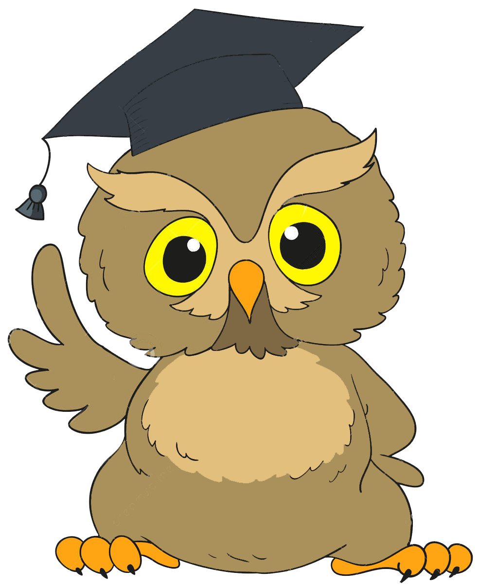Сова в Академической шапочке