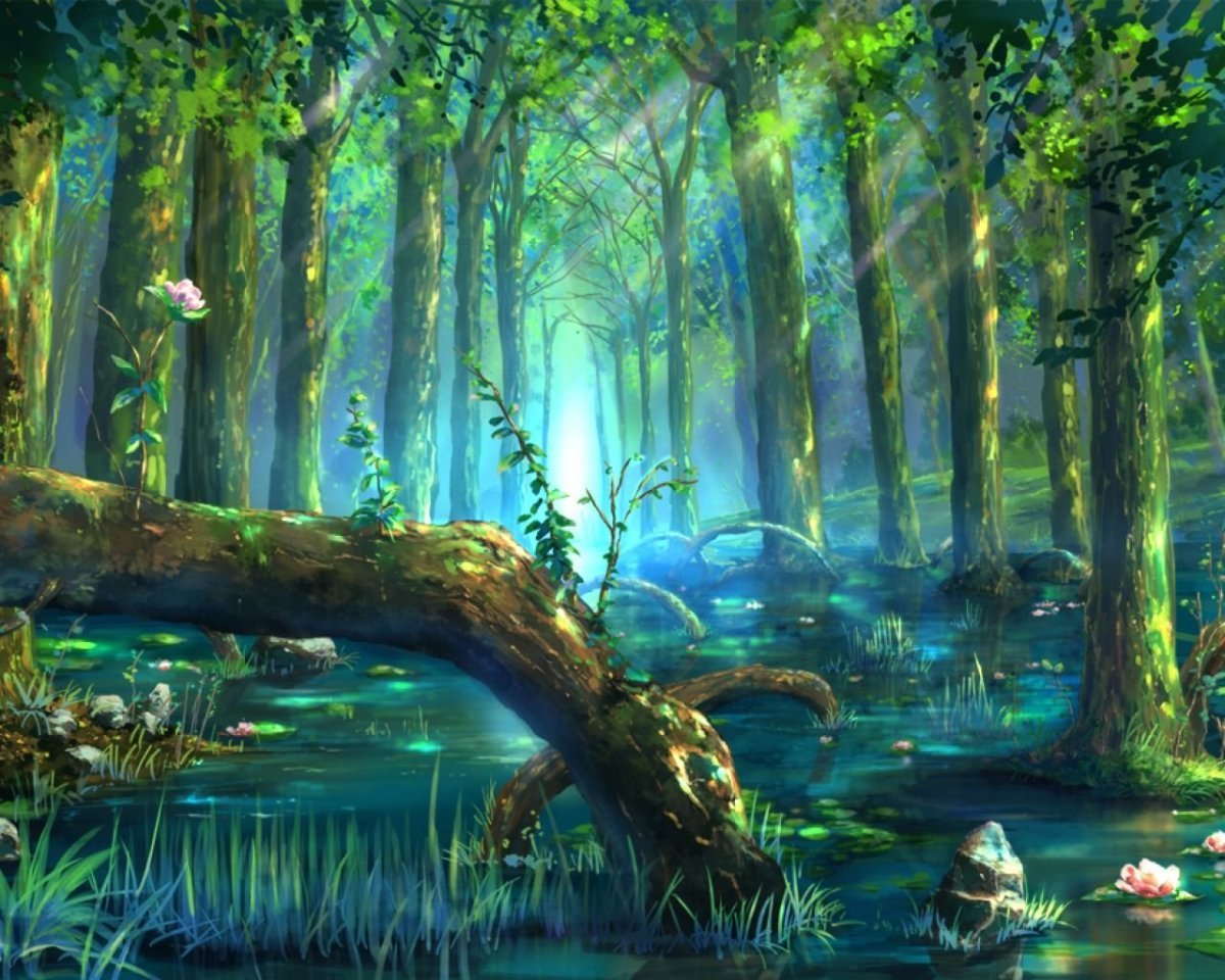 Сказочные пейзажи леса