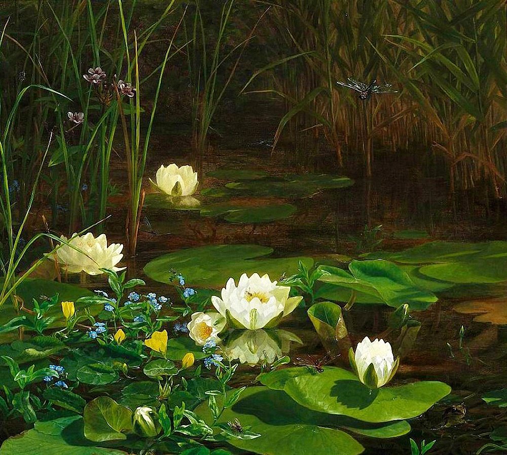 Левитан лилии Ненюфары